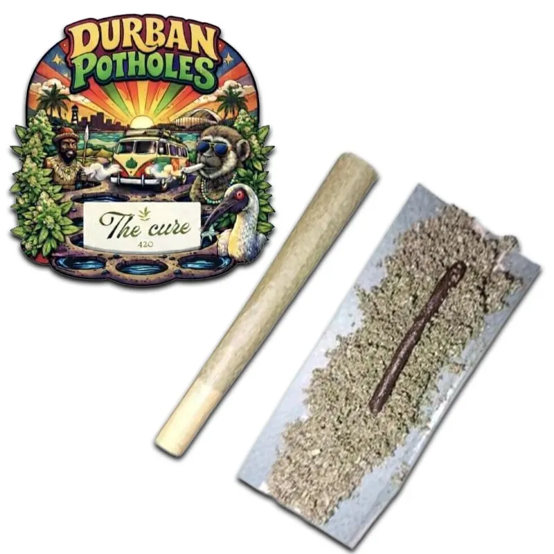 Durban Potholes 2.webp