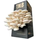 Mushroom Grow Box - White Oyster Mushrooms